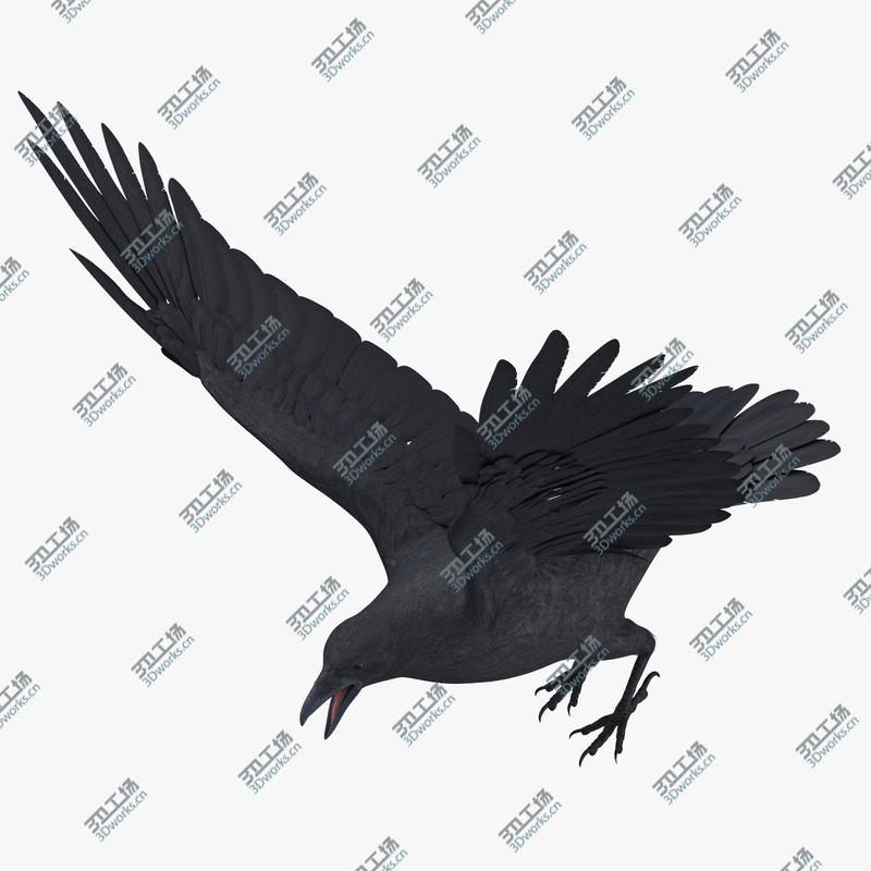 images/goods_img/202104022/Crow 3 Poses 3D model/4.jpg